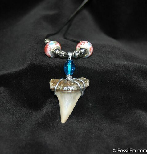 Megalodon Tooth Necklace #597